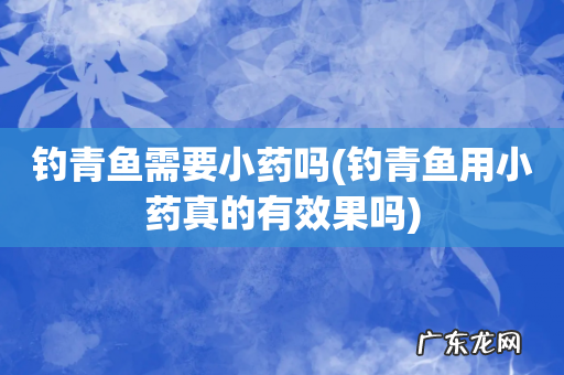 钓青鱼用小药真的有效果吗 钓青鱼需要小药吗