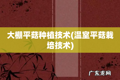 温室平菇栽培技术 大棚平菇种植技术