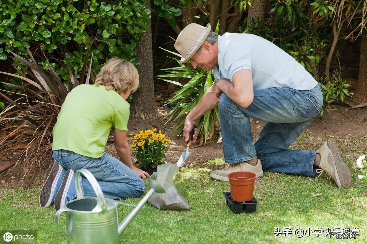 暑假里的一件趣事作文 暑假里的一件事作文600字