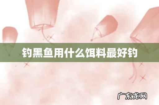 钓黑鱼用什么饵料最好钓