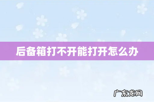 后备箱打不开能打开怎么办