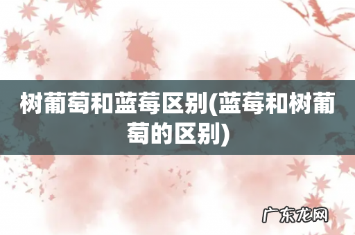 蓝莓和树葡萄的区别 树葡萄和蓝莓区别