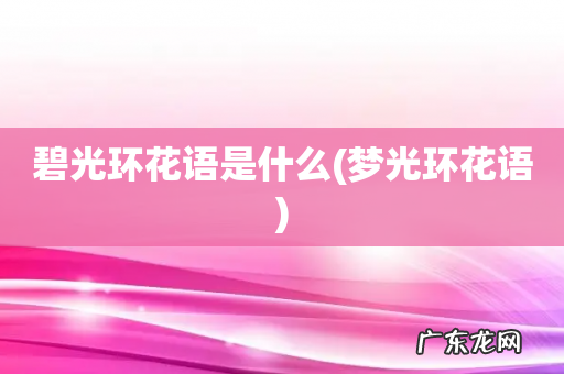 梦光环花语 碧光环花语是什么