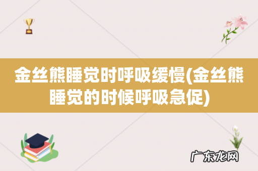 金丝熊睡觉的时候呼吸急促 金丝熊睡觉时呼吸缓慢