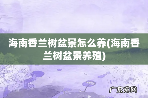 海南香兰树盆景养殖 海南香兰树盆景怎么养