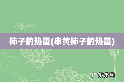 串黄柿子的热量 柿子的热量