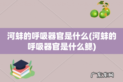 河蚌的呼吸器官是什么鳃 河蚌的呼吸器官是什么