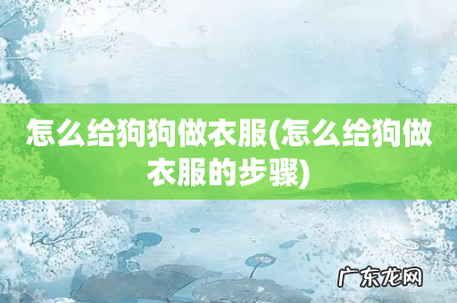 怎么给狗做衣服的步骤 怎么给狗狗做衣服