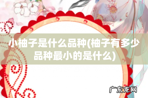 柚子有多少品种最小的是什么 小柚子是什么品种