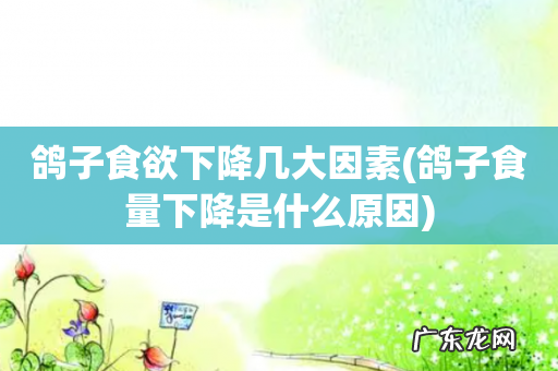 鸽子食量下降是什么原因 鸽子食欲下降几大因素