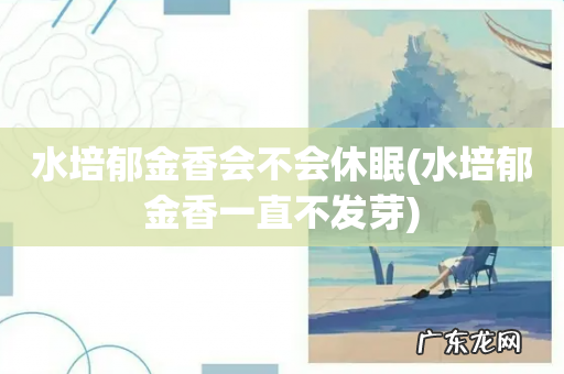 水培郁金香一直不发芽 水培郁金香会不会休眠