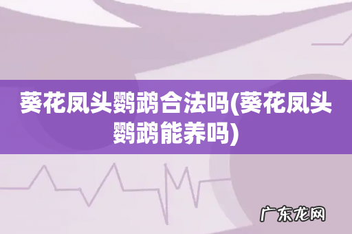 葵花凤头鹦鹉能养吗 葵花凤头鹦鹉合法吗