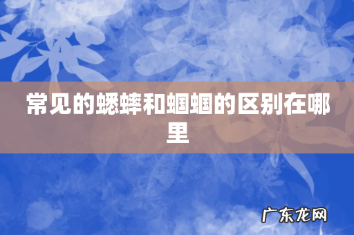 常见的蟋蟀和蝈蝈的区别在哪里