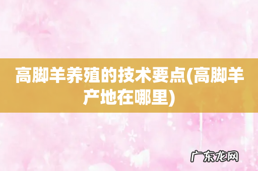 高脚羊产地在哪里 高脚羊养殖的技术要点