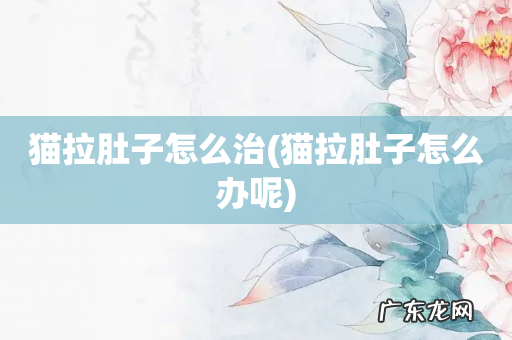 猫拉肚子怎么办呢 猫拉肚子怎么治