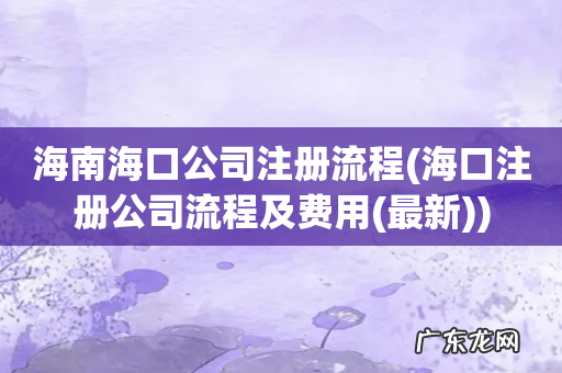 海口注册公司流程及费用(最新 海南海口公司注册流程)
