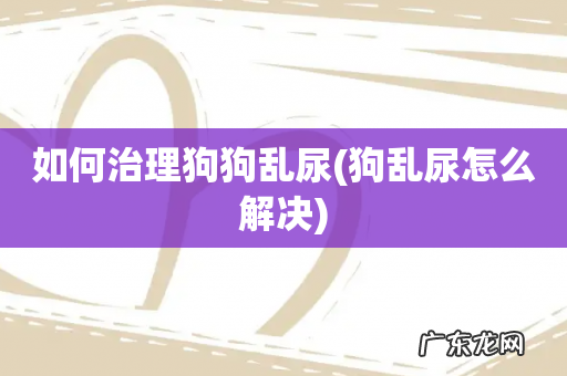 狗乱尿怎么解决 如何治理狗狗乱尿