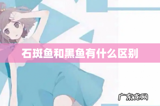 石斑鱼和黑鱼有什么区别