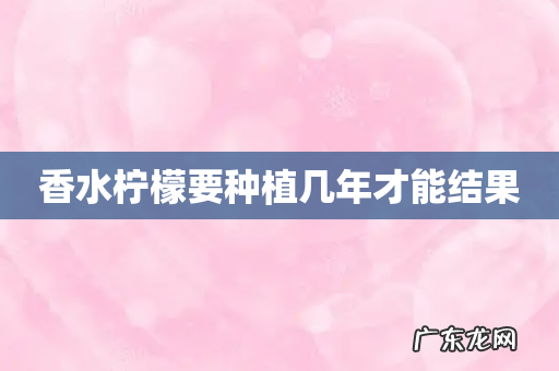 香水柠檬要种植几年才能结果