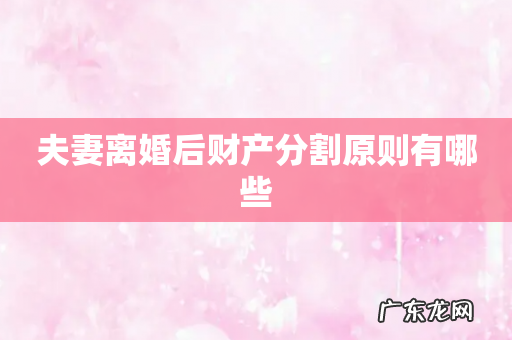 夫妻离婚后财产分割原则有哪些