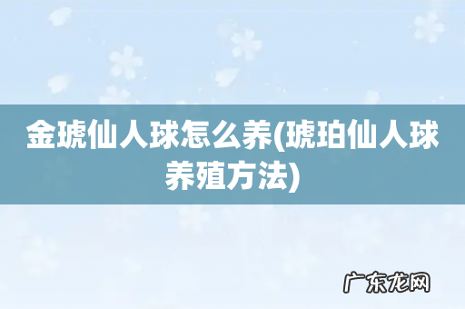 琥珀仙人球养殖方法 金琥仙人球怎么养