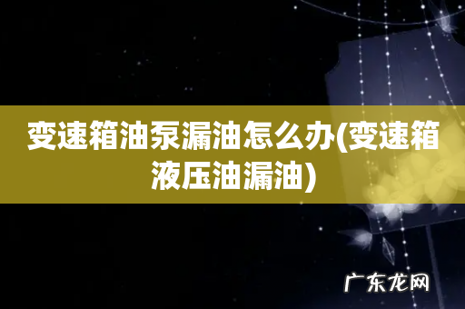 变速箱液压油漏油 变速箱油泵漏油怎么办