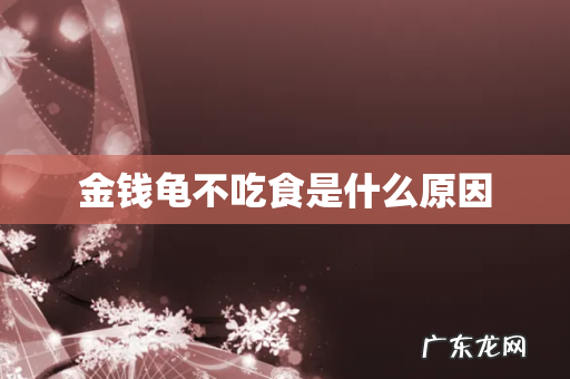 金钱龟不吃食是什么原因