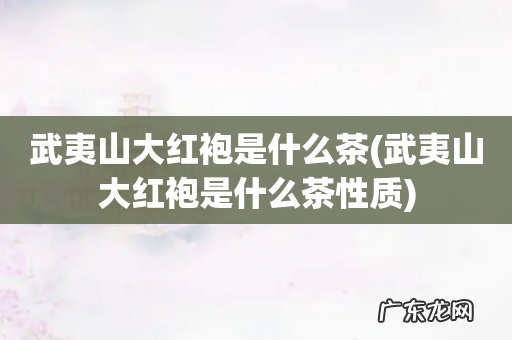 武夷山大红袍是什么茶性质 武夷山大红袍是什么茶