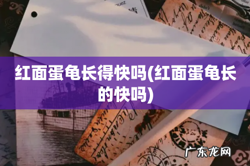 红面蛋龟长的快吗 红面蛋龟长得快吗