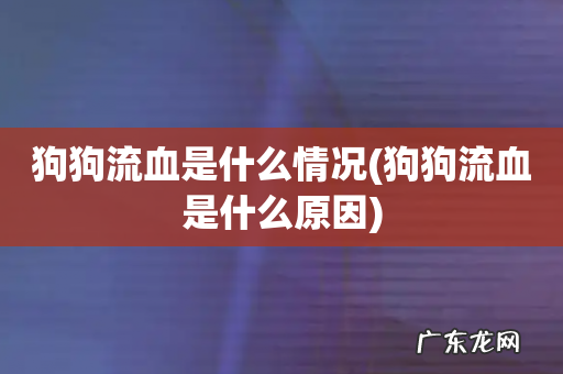 狗狗流血是什么原因 狗狗流血是什么情况