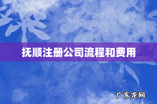 抚顺注册公司流程和费用