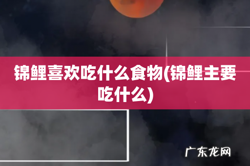 锦鲤主要吃什么 锦鲤喜欢吃什么食物