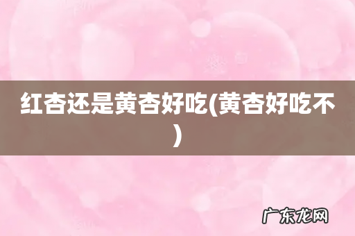 黄杏好吃不 红杏还是黄杏好吃