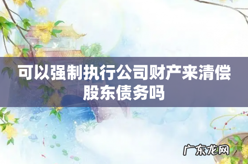 可以强制执行公司财产来清偿股东债务吗