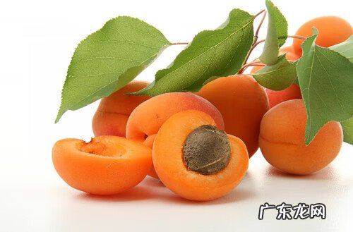 杏仁吃多了会怎么样 晚上杏吃多了会怎么样