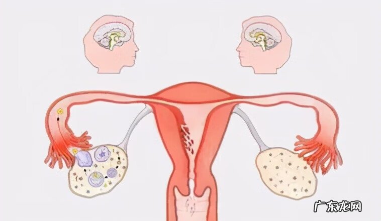 一天中吃黄体酮最佳时间 正常黄体酮吃完几天来月经