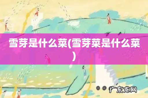 雪芽菜是什么菜 雪芽是什么菜