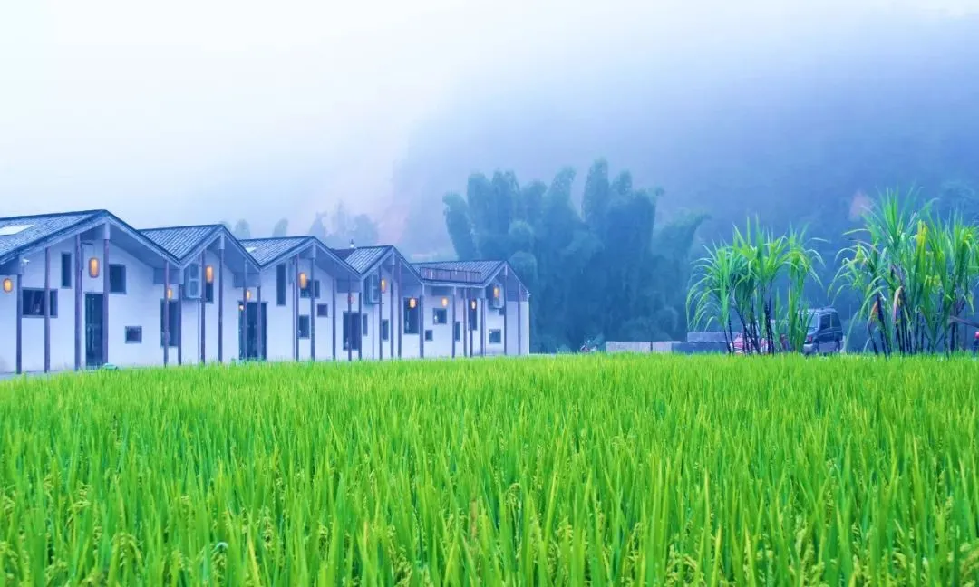 梅州大埔罗氏祠堂 梅州大浦田祠堂风水