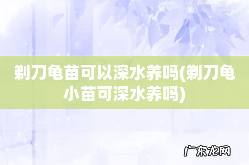 剃刀龟小苗可深水养吗 剃刀龟苗可以深水养吗