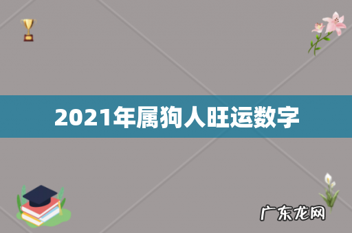 2021年属狗人旺运数字