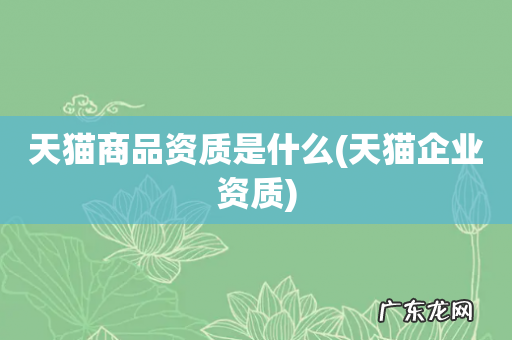 天猫企业资质 天猫商品资质是什么