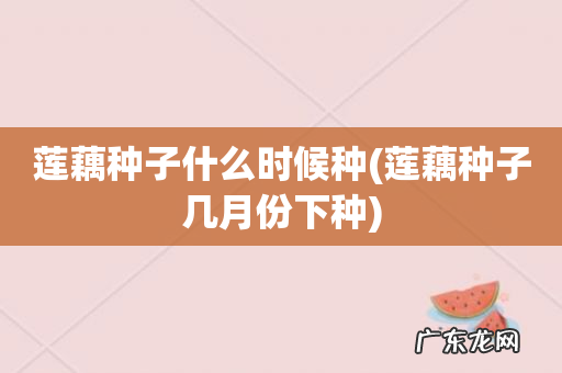 莲藕种子几月份下种 莲藕种子什么时候种