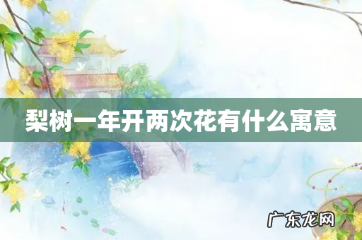 梨树一年开两次花有什么寓意