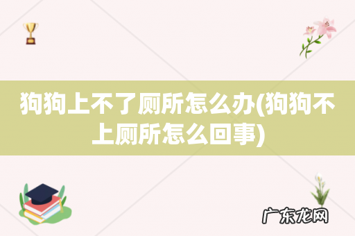 狗狗不上厕所怎么回事 狗狗上不了厕所怎么办