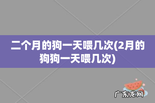 2月的狗狗一天喂几次 二个月的狗一天喂几次
