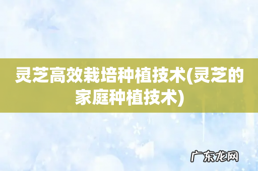 灵芝的家庭种植技术 灵芝高效栽培种植技术