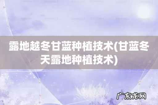 甘蓝冬天露地种植技术 露地越冬甘蓝种植技术