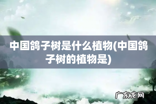 中国鸽子树的植物是 中国鸽子树是什么植物