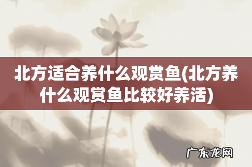 北方养什么观赏鱼比较好养活 北方适合养什么观赏鱼
