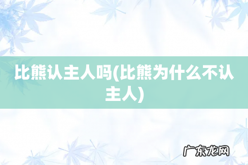 比熊为什么不认主人 比熊认主人吗